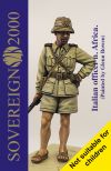 S2KW082 - Italian officer n. Africa